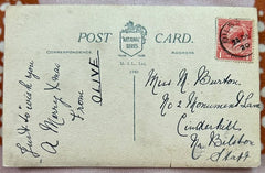 National Series Publisher, Antique British Postcard Franked 1920, Happy Christmas, Pretty Little Girl with Flowers Wearing a Green Cloak,