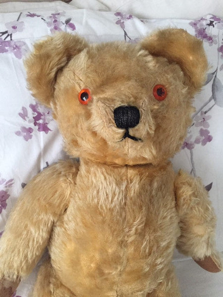 Old chad valley teddy bears on sale