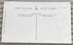 Toronto Antique Postcard, City Hall, Topography Cityscape, Milton Post Card Publisher 1910s