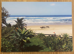 Vintage Postcard of Horses on the Beach, Eastern Cape South Africa